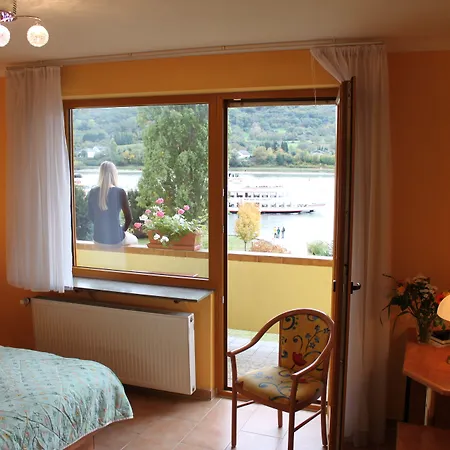 ホテル Rheinhotel Bellavista ブラウバッハ