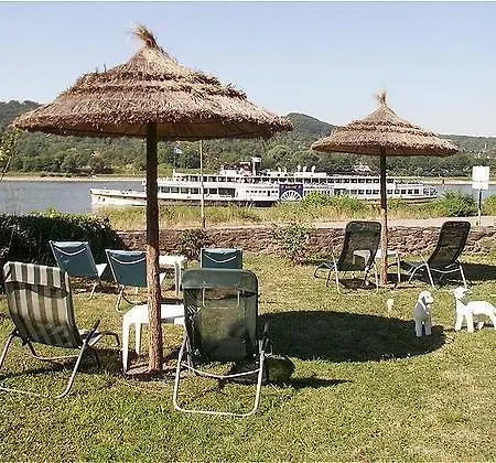Rheinhotel Bellavista 3*