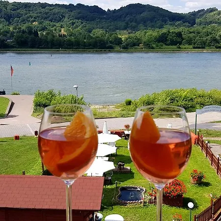 Rheinhotel Bellavista ホテル ブラウバッハ