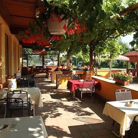 Rheinhotel Bellavista 3* Braubach